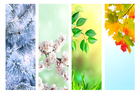 Skincare Estiva 2025: Tendenze Naturali e Sostenibili per una Pelle Radiosa