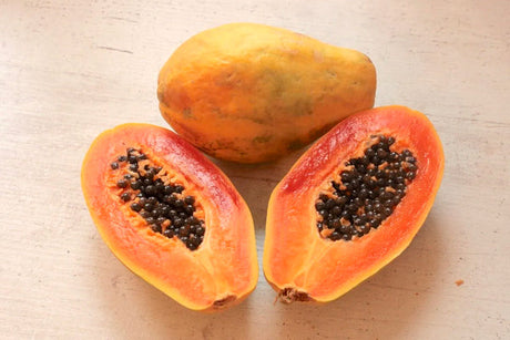 PAPAYA FERMENTATA