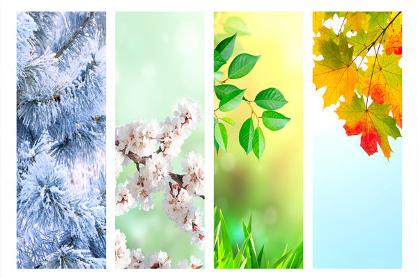 Skincare Estiva 2025: Tendenze Naturali e Sostenibili per una Pelle Radiosa